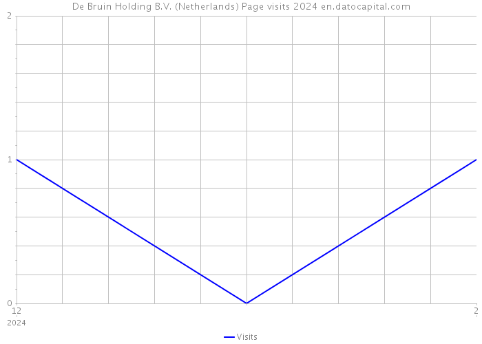 De Bruin Holding B.V. (Netherlands) Page visits 2024 