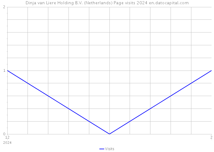 Dinja van Liere Holding B.V. (Netherlands) Page visits 2024 