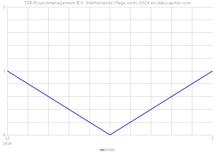 TZR Projectmanagement B.V. (Netherlands) Page visits 2024 