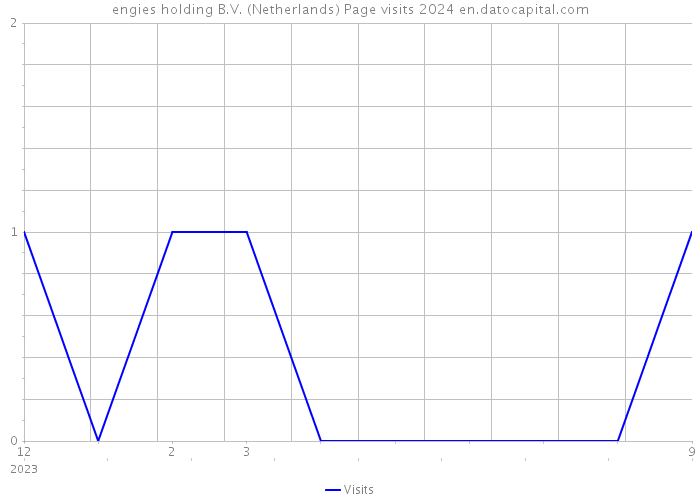 engies holding B.V. (Netherlands) Page visits 2024 