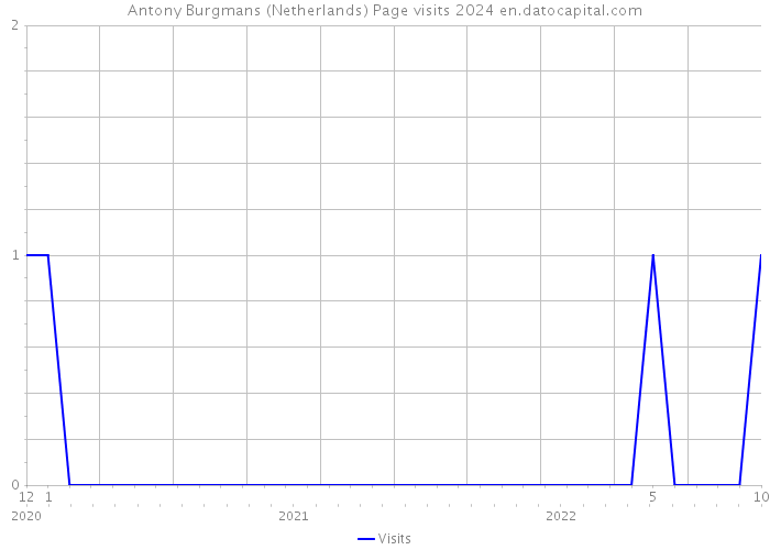 Antony Burgmans (Netherlands) Page visits 2024 