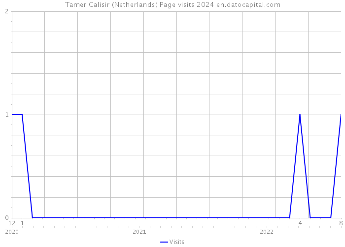 Tamer Calisir (Netherlands) Page visits 2024 