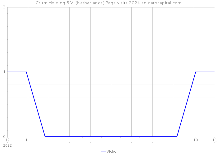 Crum Holding B.V. (Netherlands) Page visits 2024 