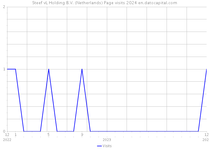 Steef vL Holding B.V. (Netherlands) Page visits 2024 