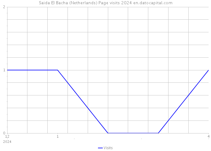 Saida El Bacha (Netherlands) Page visits 2024 