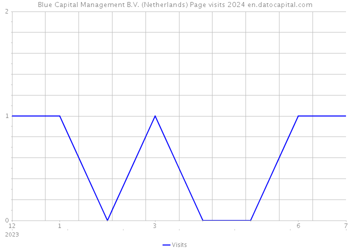 Blue Capital Management B.V. (Netherlands) Page visits 2024 