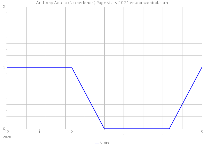Anthony Aquila (Netherlands) Page visits 2024 