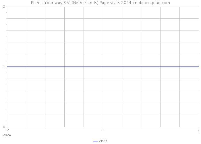 Plan it Your way B.V. (Netherlands) Page visits 2024 