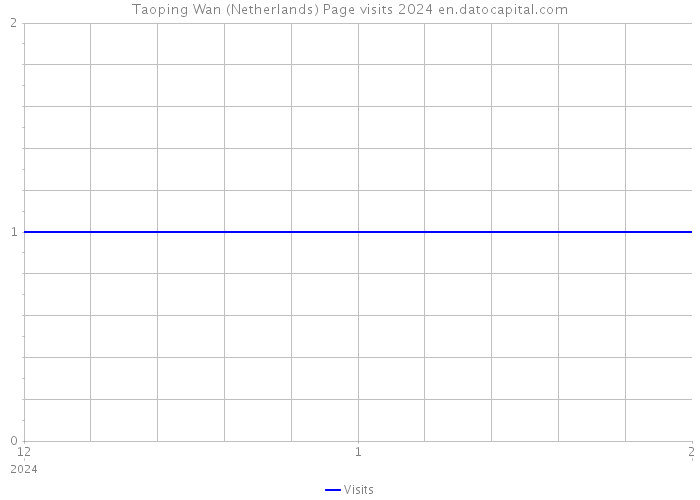 Taoping Wan (Netherlands) Page visits 2024 