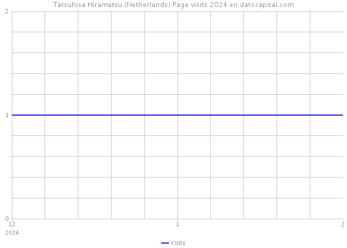 Tatsuhisa Hiramatsu (Netherlands) Page visits 2024 