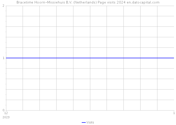 Bracetime Hoorn-Missiehuis B.V. (Netherlands) Page visits 2024 