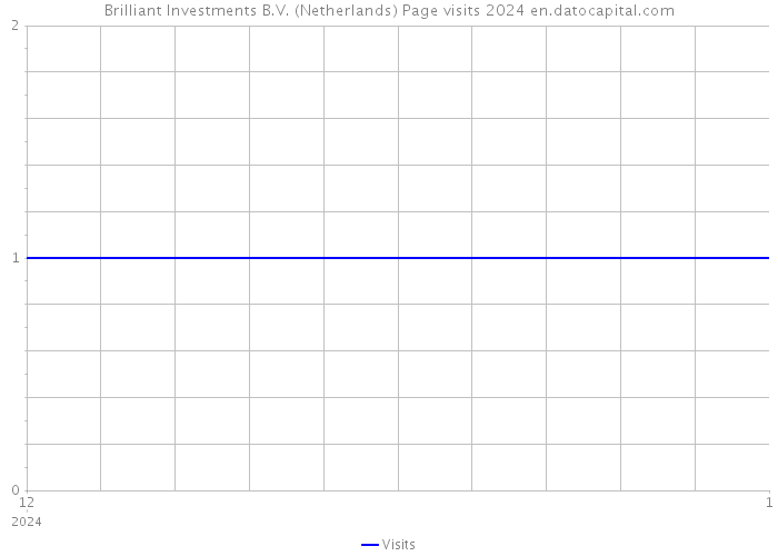 Brilliant Investments B.V. (Netherlands) Page visits 2024 