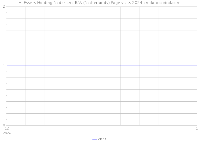 H. Essers Holding Nederland B.V. (Netherlands) Page visits 2024 