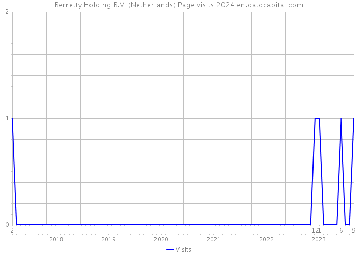 Berretty Holding B.V. (Netherlands) Page visits 2024 