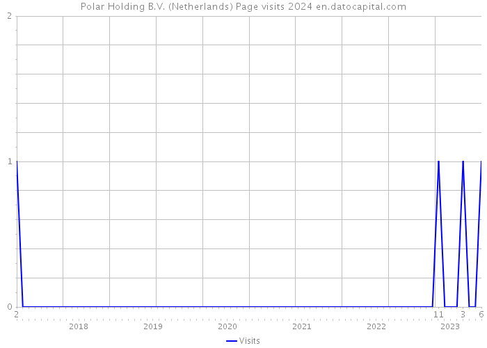 Polar Holding B.V. (Netherlands) Page visits 2024 