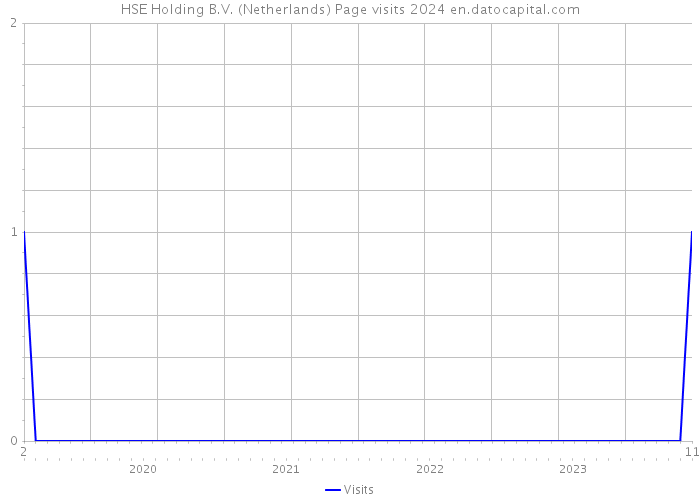 HSE Holding B.V. (Netherlands) Page visits 2024 