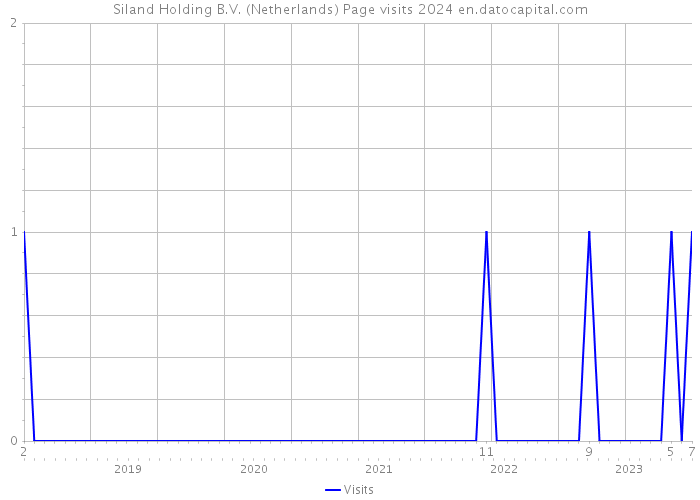 Siland Holding B.V. (Netherlands) Page visits 2024 