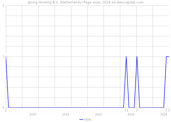 Jaring Holding B.V. (Netherlands) Page visits 2024 