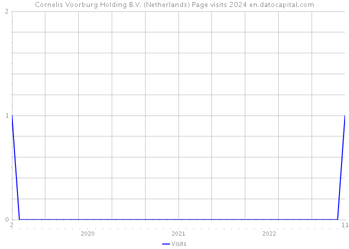 Cornelis Voorburg Holding B.V. (Netherlands) Page visits 2024 