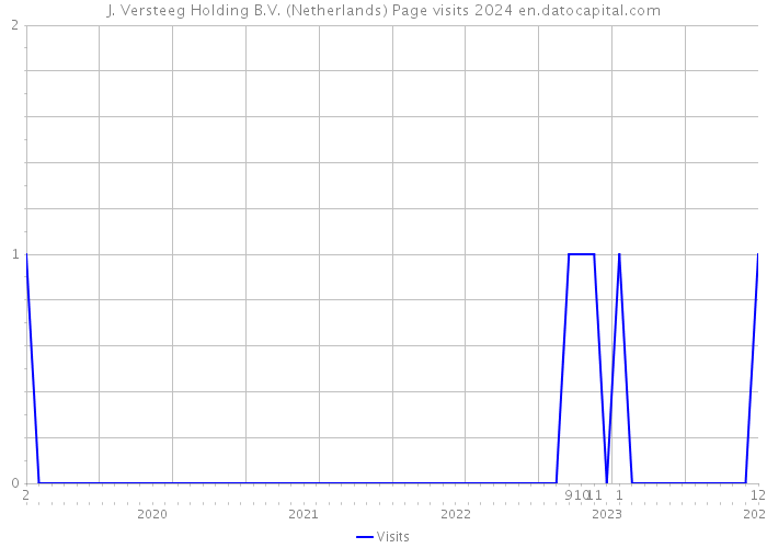 J. Versteeg Holding B.V. (Netherlands) Page visits 2024 