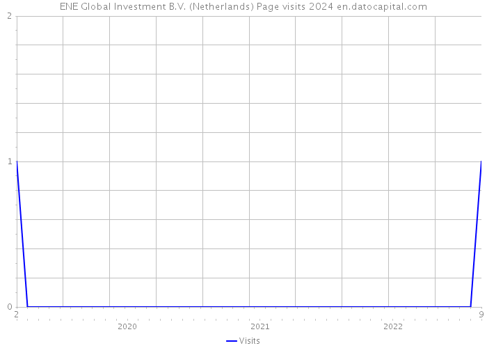 ENE Global Investment B.V. (Netherlands) Page visits 2024 