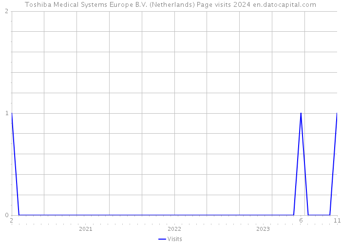 Toshiba Medical Systems Europe B.V. (Netherlands) Page visits 2024 