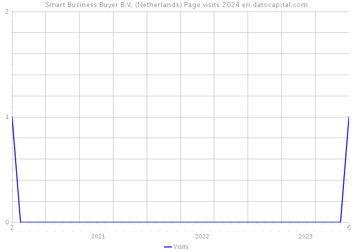Smart Business Buyer B.V. (Netherlands) Page visits 2024 