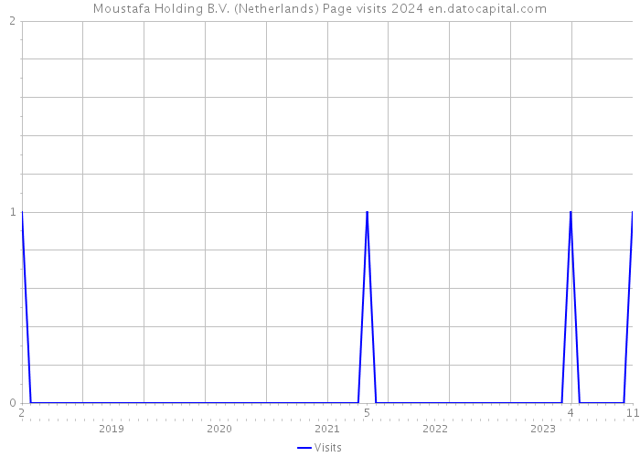 Moustafa Holding B.V. (Netherlands) Page visits 2024 