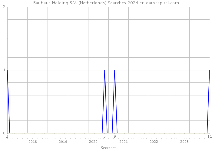 Bauhaus Holding B.V. (Netherlands) Searches 2024 