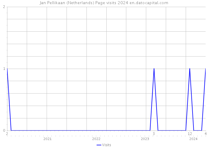 Jan Pellikaan (Netherlands) Page visits 2024 