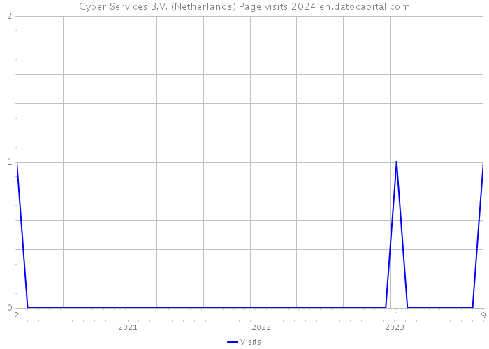 Cyber Services B.V. (Netherlands) Page visits 2024 
