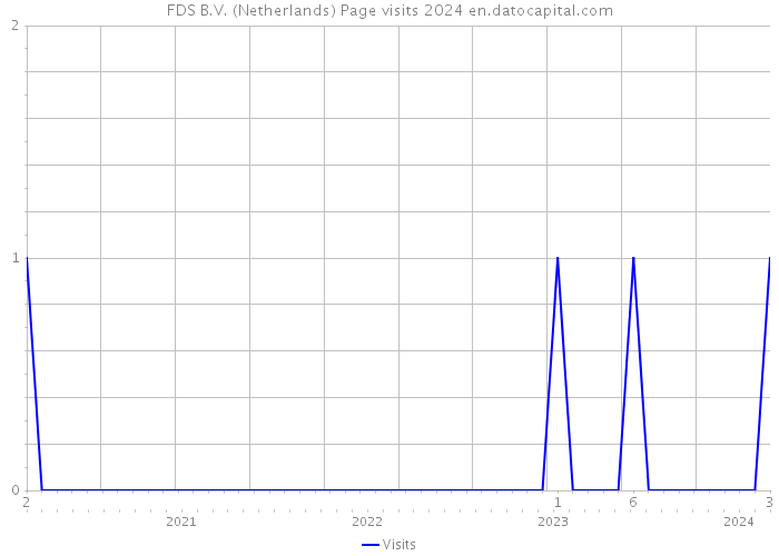 FDS B.V. (Netherlands) Page visits 2024 