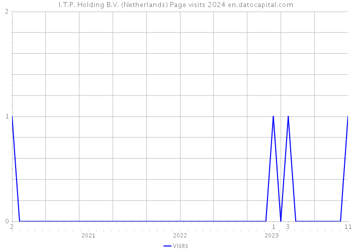 I.T.P. Holding B.V. (Netherlands) Page visits 2024 