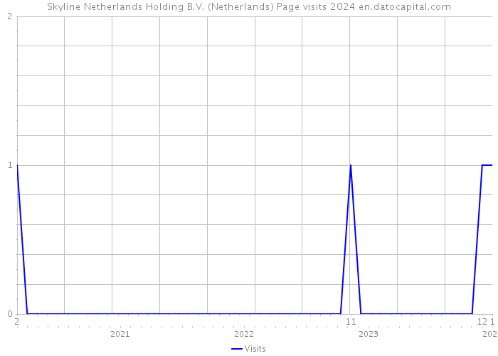 Skyline Netherlands Holding B.V. (Netherlands) Page visits 2024 