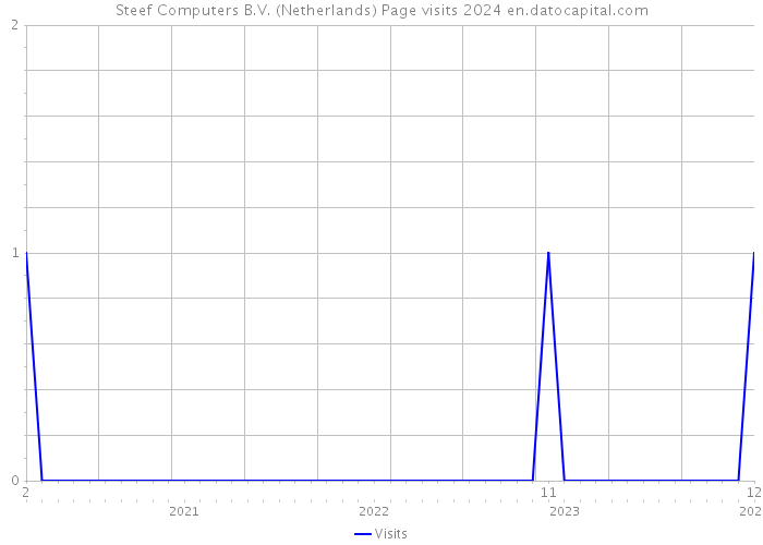 Steef Computers B.V. (Netherlands) Page visits 2024 