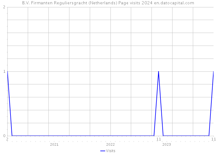 B.V. Firmanten Reguliersgracht (Netherlands) Page visits 2024 