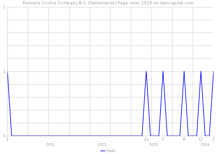 Punselie Cookie Company B.V. (Netherlands) Page visits 2024 