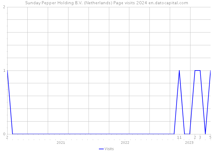 Sunday Pepper Holding B.V. (Netherlands) Page visits 2024 