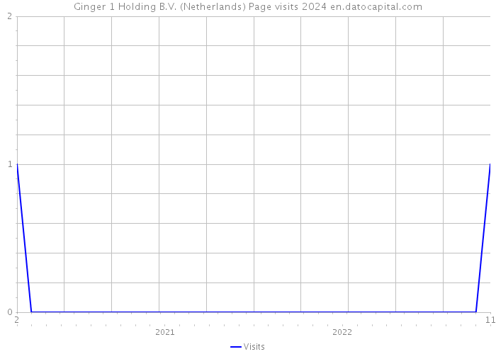 Ginger 1 Holding B.V. (Netherlands) Page visits 2024 