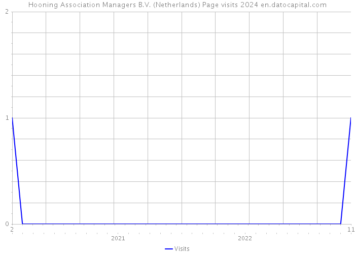 Hooning Association Managers B.V. (Netherlands) Page visits 2024 