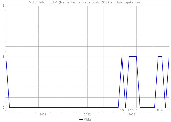 MBIB Holding B.V. (Netherlands) Page visits 2024 