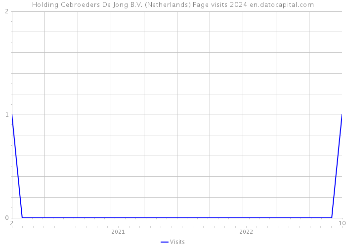 Holding Gebroeders De Jong B.V. (Netherlands) Page visits 2024 