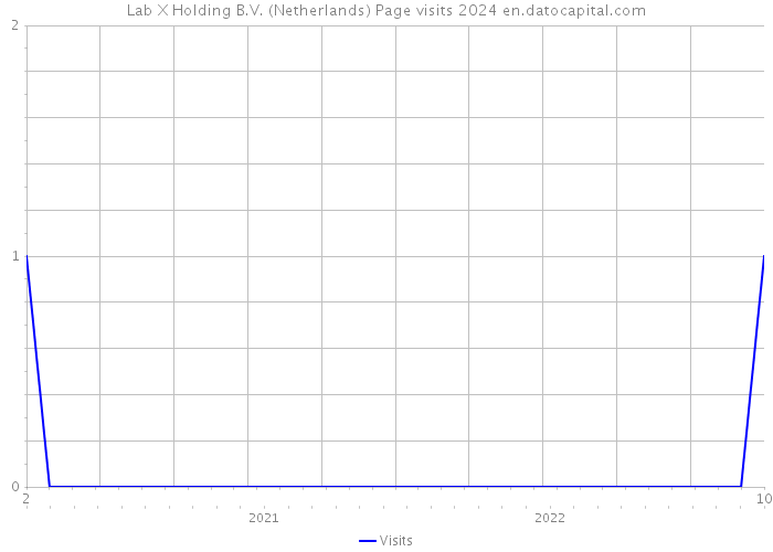 Lab X Holding B.V. (Netherlands) Page visits 2024 