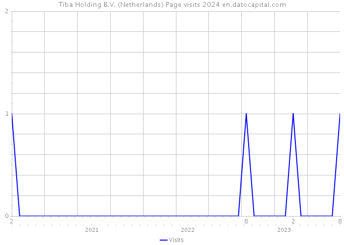 Tiba Holding B.V. (Netherlands) Page visits 2024 