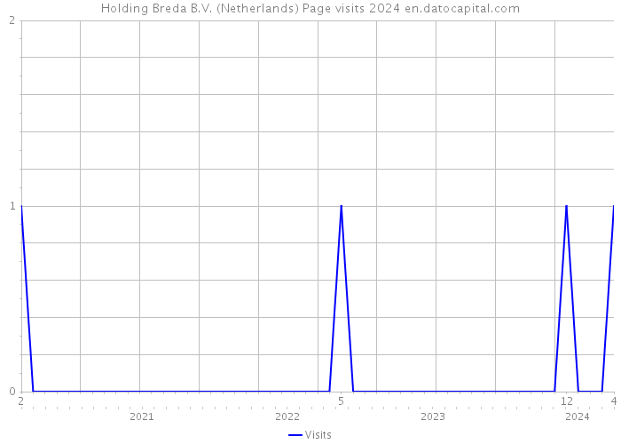 Holding Breda B.V. (Netherlands) Page visits 2024 