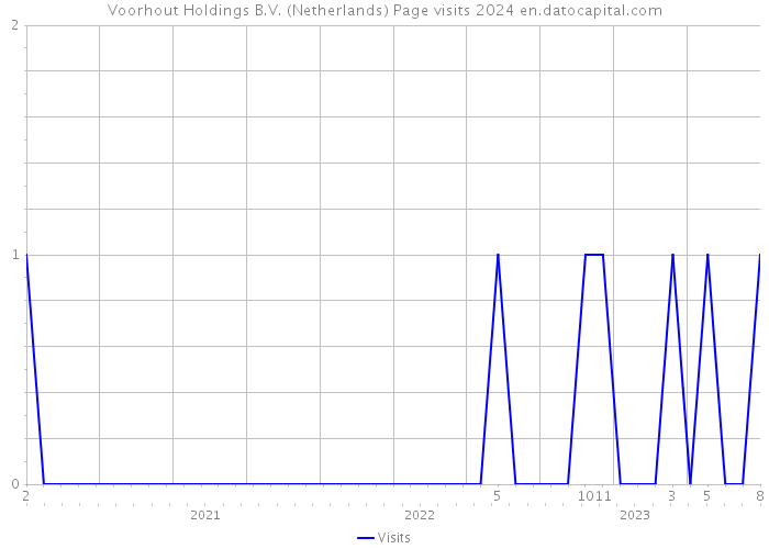 Voorhout Holdings B.V. (Netherlands) Page visits 2024 