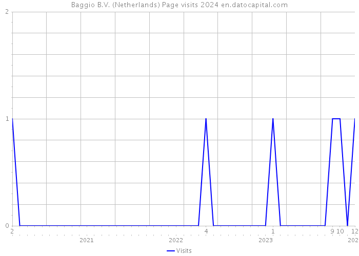 Baggio B.V. (Netherlands) Page visits 2024 