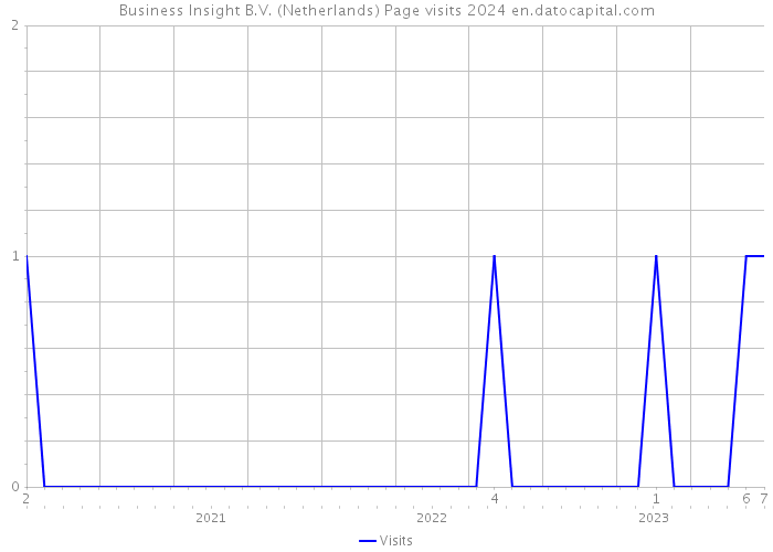 Business Insight B.V. (Netherlands) Page visits 2024 