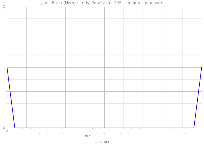 Joost Brust (Netherlands) Page visits 2024 