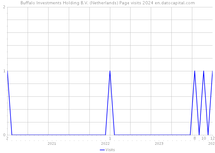 Buffalo Investments Holding B.V. (Netherlands) Page visits 2024 